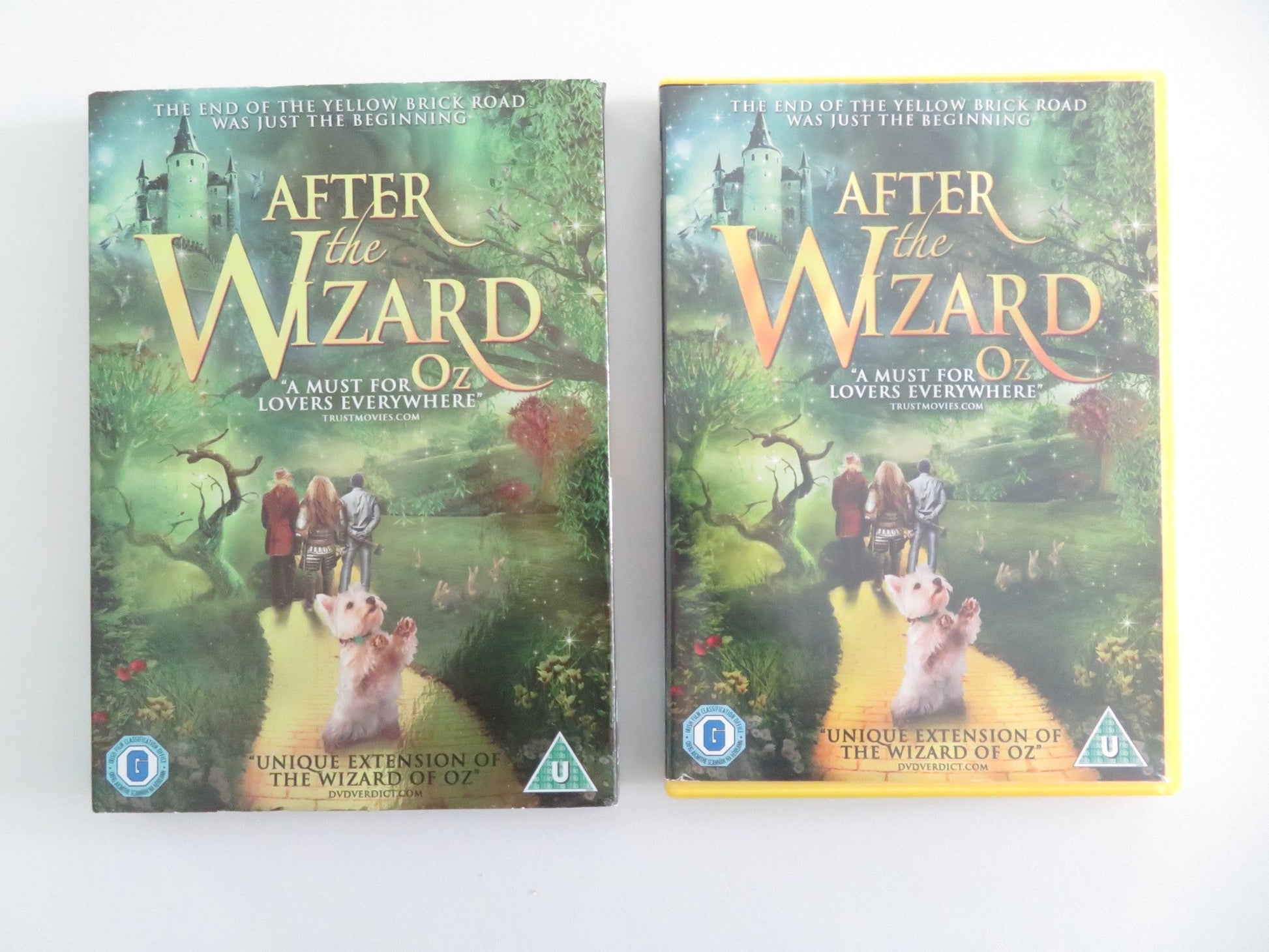 After the Wizard (DVD) Orien Richman Jermel Nakia 2011 Region 2 Movie posters