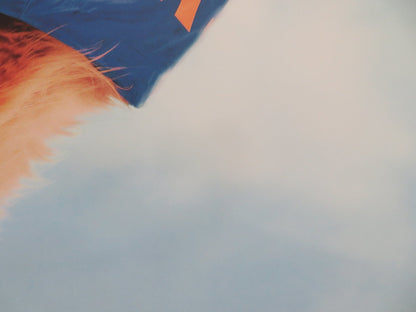 AIR BUD US ONE SHEET ROLLED POSTER DISNEY MICHAEL JETER KEVIN ZEGERS 1997 Movie posters