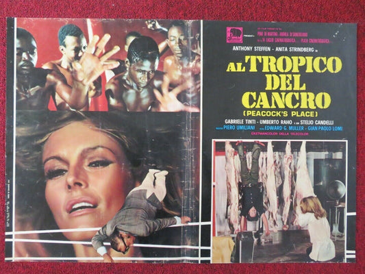 AL TROPICO DEL CANCRO / PEACOCK'S PLACE - E ITALIAN FOTOBUSTA POSTER 1972 - Rendezvous Cinema