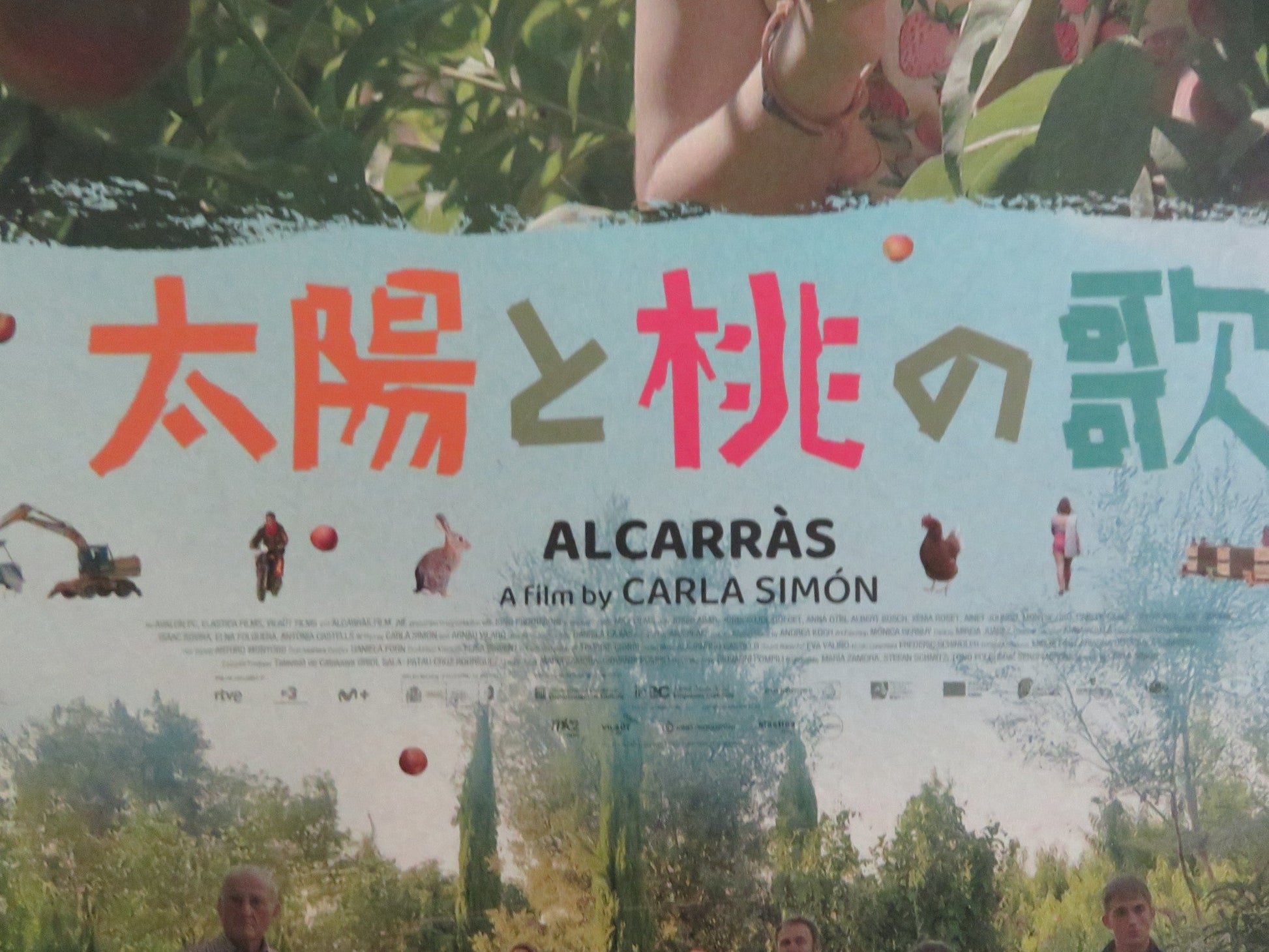 ALCARRAS JAPANESE CHIRASHI (B5) POSTER JOSEP ABAD JORDI PUJOL DOLCET 2022 Rendezvous Cinema Movie posters