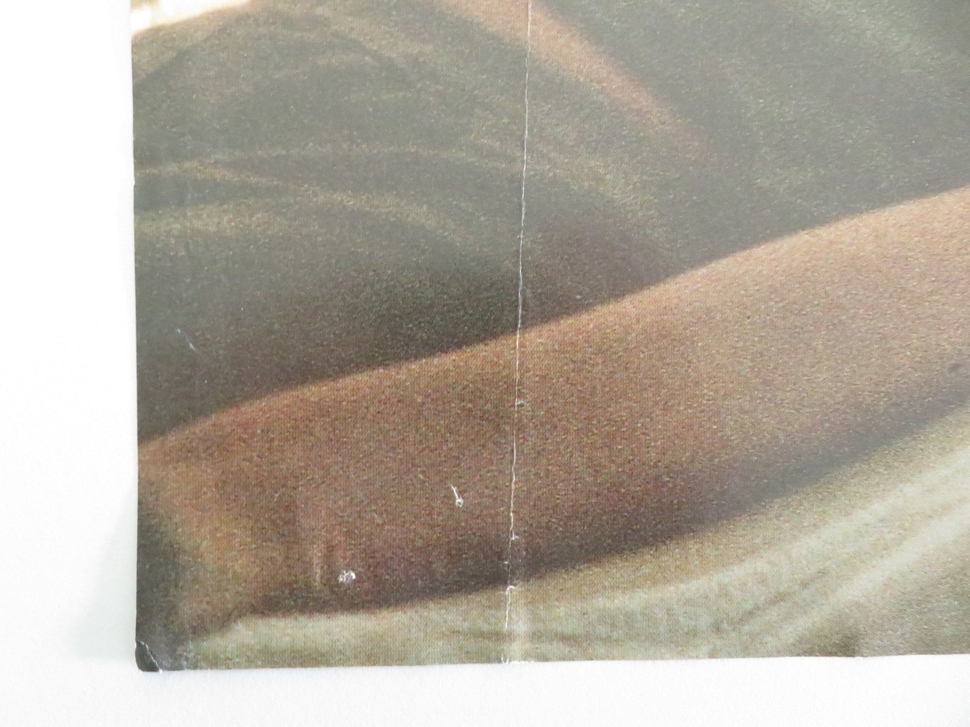 ALIEN 3 ITALIAN FOTOBUSTA POSTER SIGOURNEY WEAVER CHARLES DANCE 1992 Movie posters