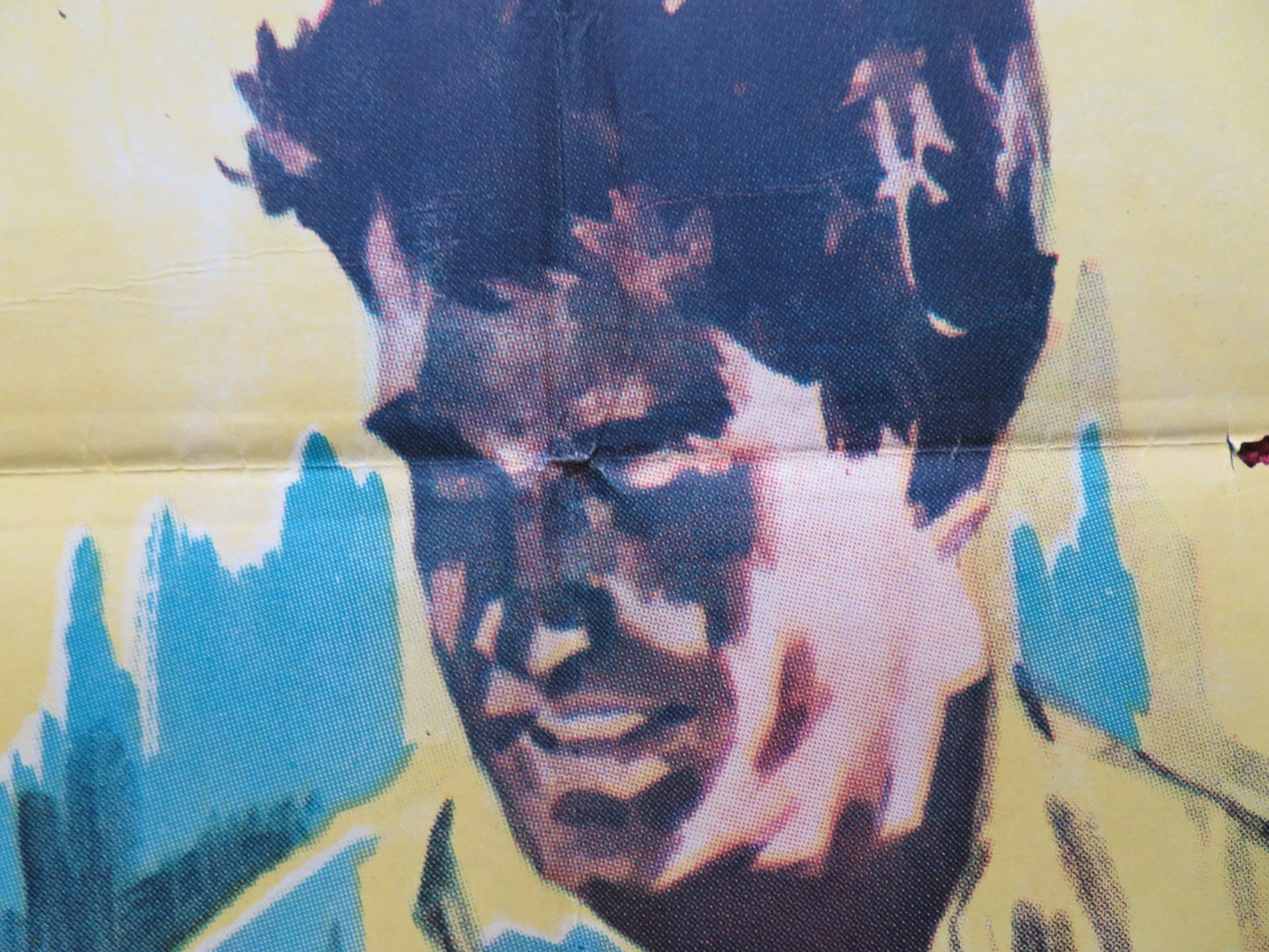 ALL FALL DOWN ARGENTINIAN POSTER WARREN BEATTY EVA MARIE SAINT 1962 - Rendezvous Cinema