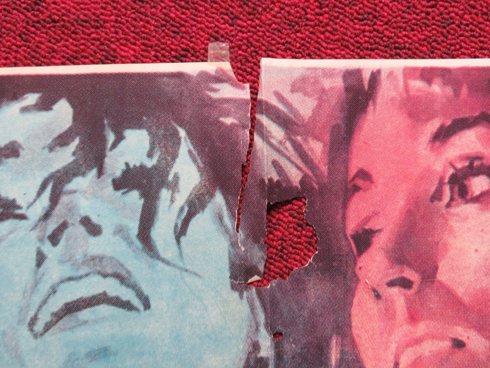 ALL FALL DOWN ARGENTINIAN POSTER WARREN BEATTY EVA MARIE SAINT 1962 - Rendezvous Cinema