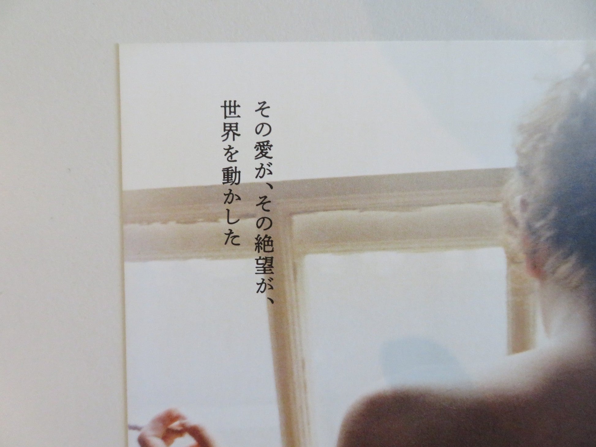 ALL THE BEAUTY AND THE BLOODSHED JAPANESE CHIRASHI (B5) POSTER NAN GOLDIN 2022 Rendezvous Cinema Movie posters