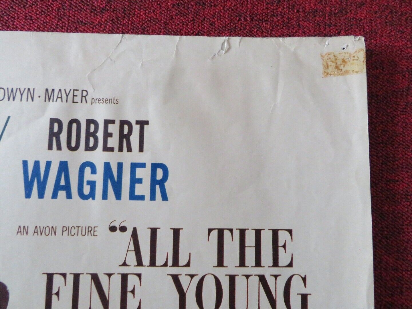 ALL THE FINE YOUNG CANNIBALS US HALF SHEET (22"x 28") POSTER NATALIE WOOD 1960 - Rendezvous Cinema