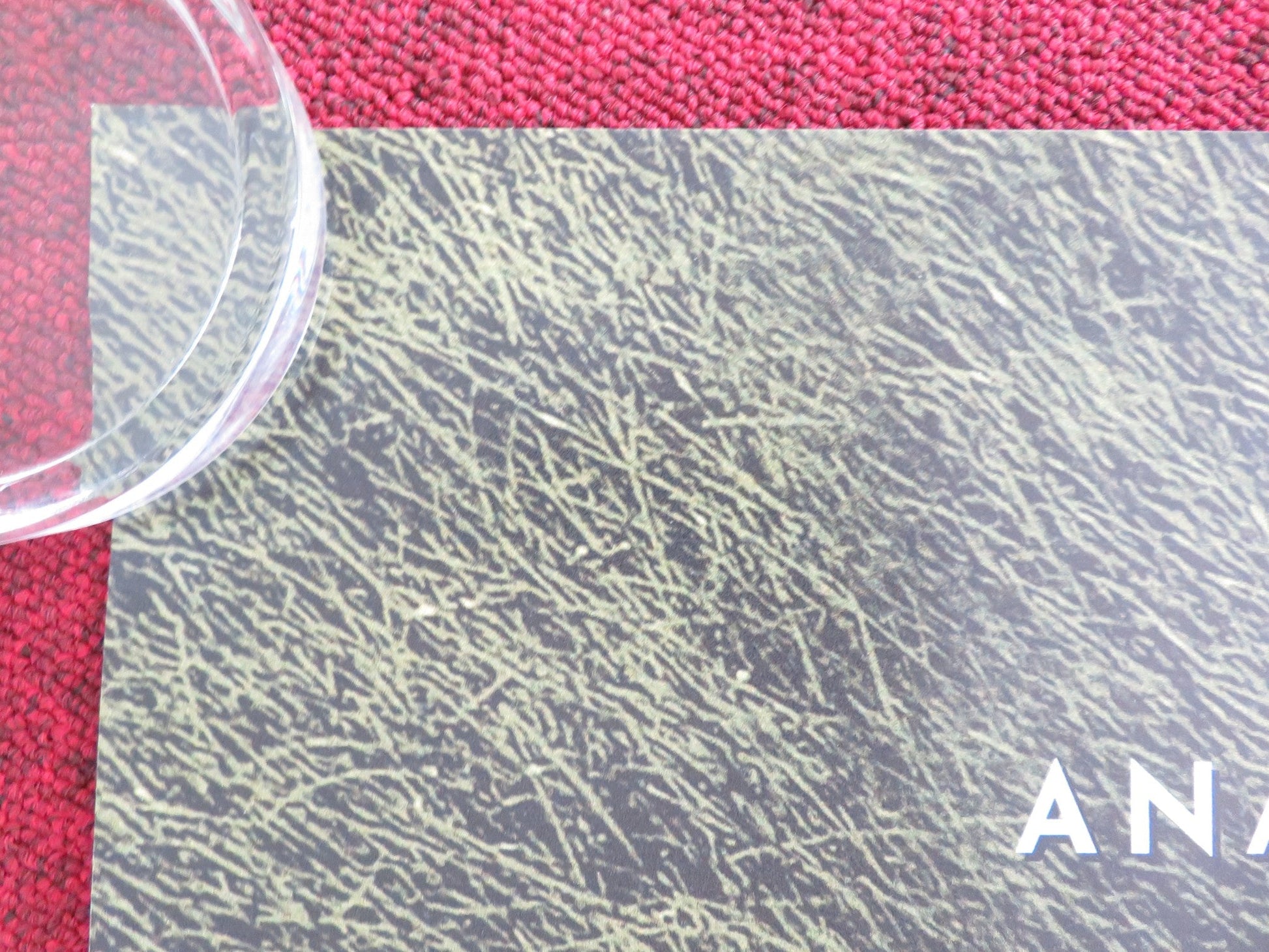 ALONG CAME LOVE UK QUAD ROLLED POSTER ANAIS DEMOUSTIER VINCENT LACOSTE 2023 Movie posters