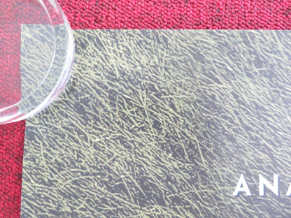 ALONG CAME LOVE UK QUAD ROLLED POSTER ANAIS DEMOUSTIER VINCENT LACOSTE 2023 Movie posters