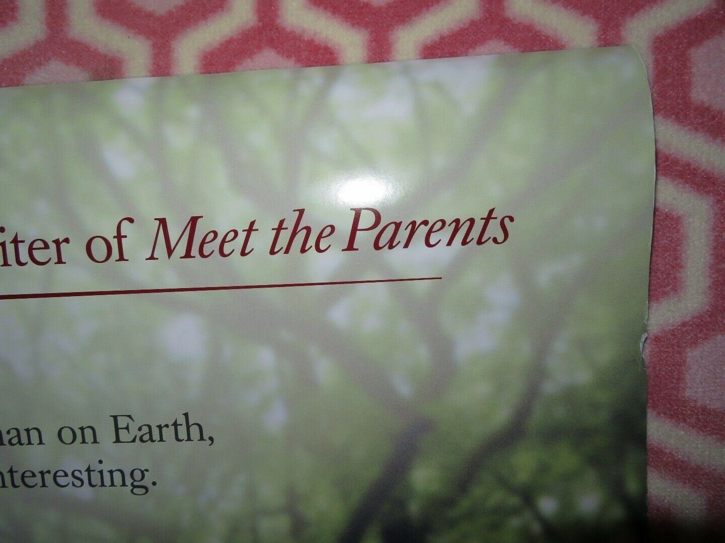 ALONG CAME POLLY US ROLLED POSTER BEN STILLER JENNIFER ANISTON 2004 - Rendezvous Cinema