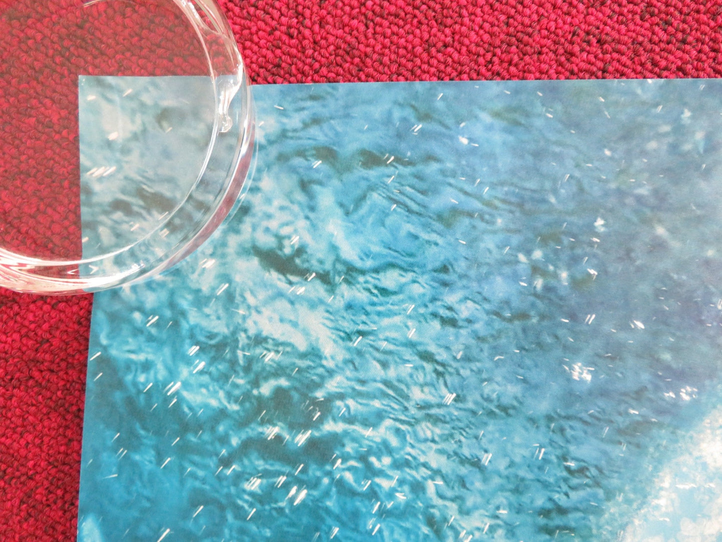 ALVIN AND THE CHIPMUNKS: CHIPWRECKED - B UK QUAD ROLLED POSTER JASON LEE 2011 Movie posters