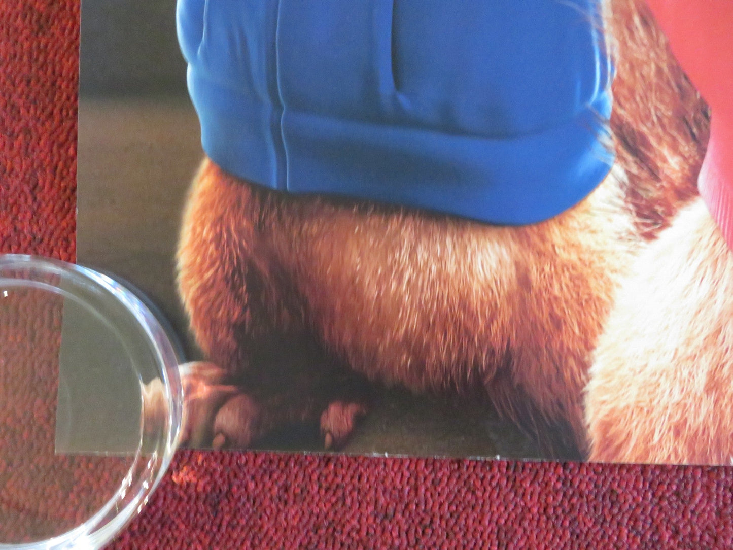 ALVIN AND THE CHIPMUNKS: THE SQUEAKQUEL - B UK QUAD ROLLED POSTER JASON LEE 2009 Movie posters