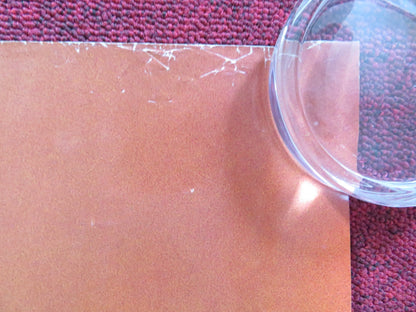 AMERICAN BEAUTY UK QUAD (30"x 40") ROLLED POSTER KEVIN SPACEY MENA SUVARI 1999 - Rendezvous Cinema