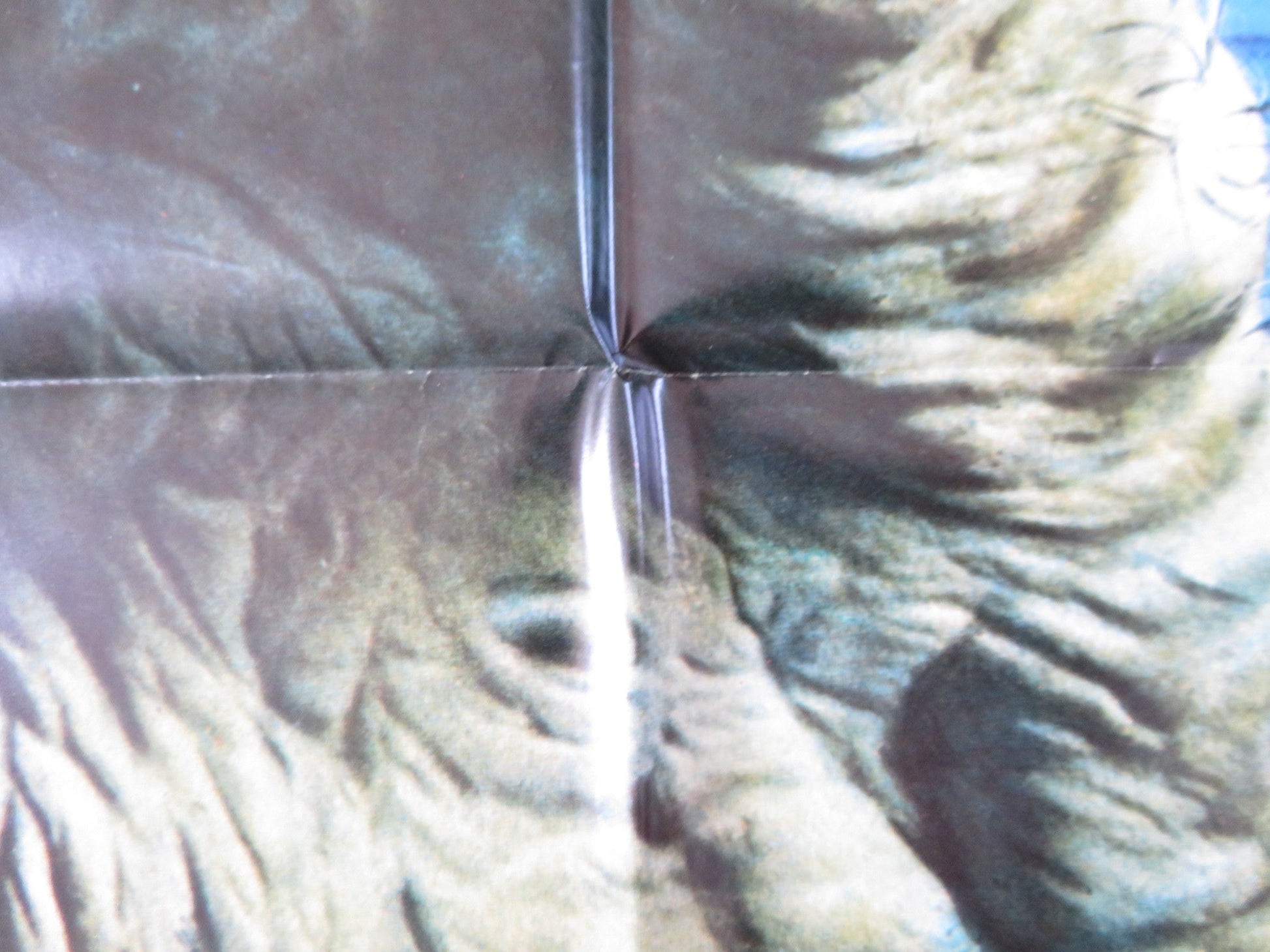 AMITYVILLE 3D FOLDED US ONE SHEET POSTER TONY ROBERTS TESS HARPER 1983 Rendezvous Cinema Movie posters