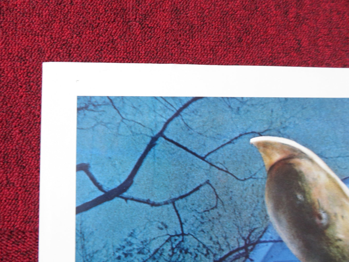 AMITYVILLE 3D FOLDED US ONE SHEET POSTER TONY ROBERTS TESS HARPER 1983 Rendezvous Cinema Movie posters