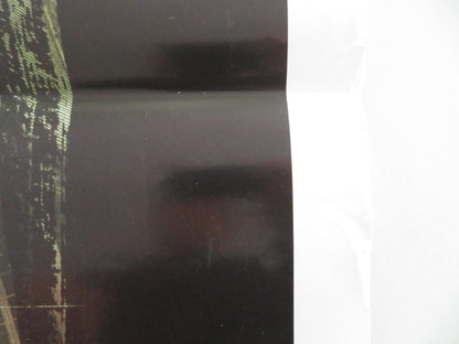 Amityville Horror Italian Locandina Poster Benjamin Wilkinson Ryan Reynolds 2005 Movie posters