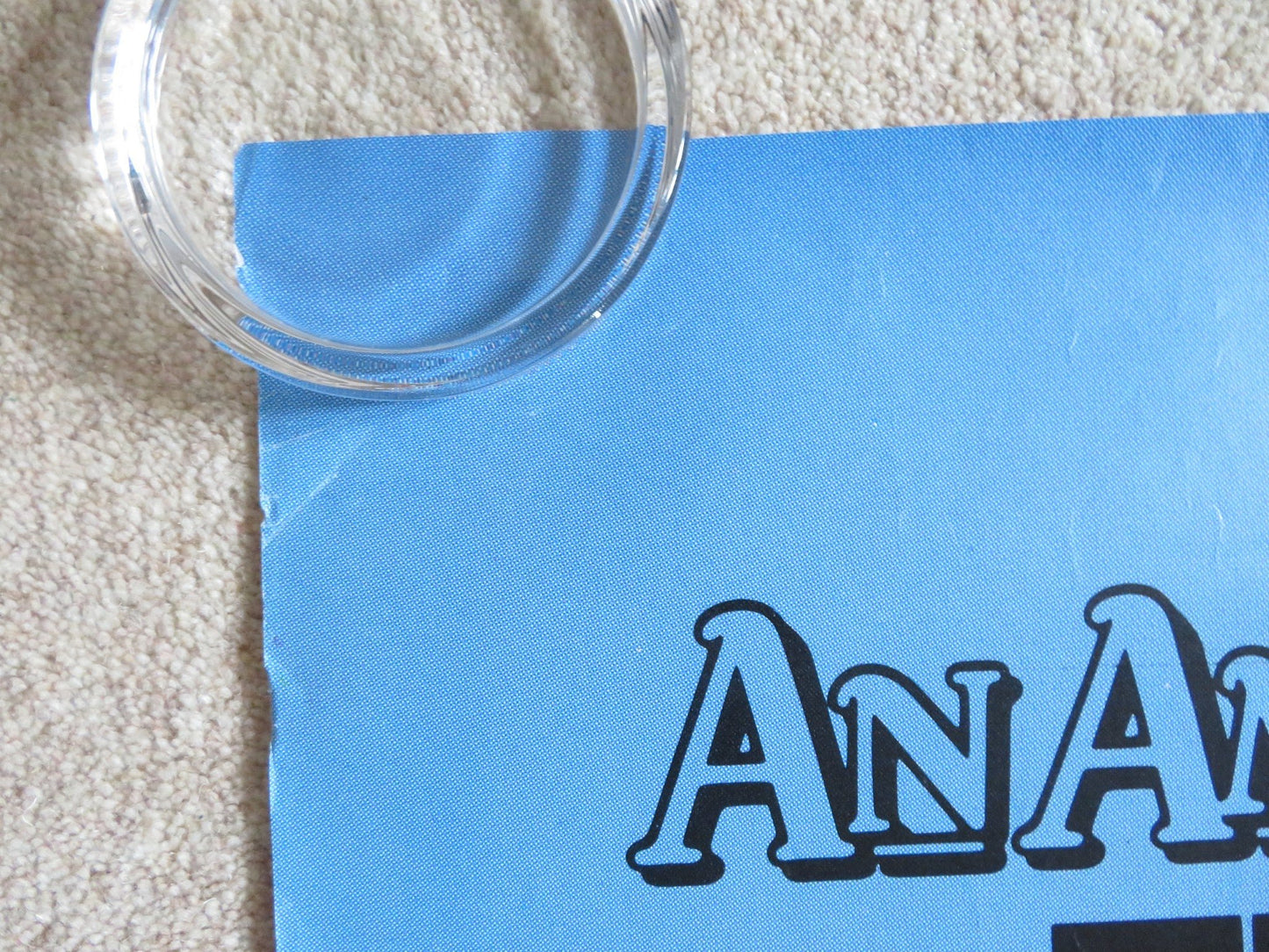 AN AMERICAN TAIL: FIEVAL GOES WEST - B DOOR PANEL POSTER ROLLED P. GLASSER 1991 - Rendezvous Cinema