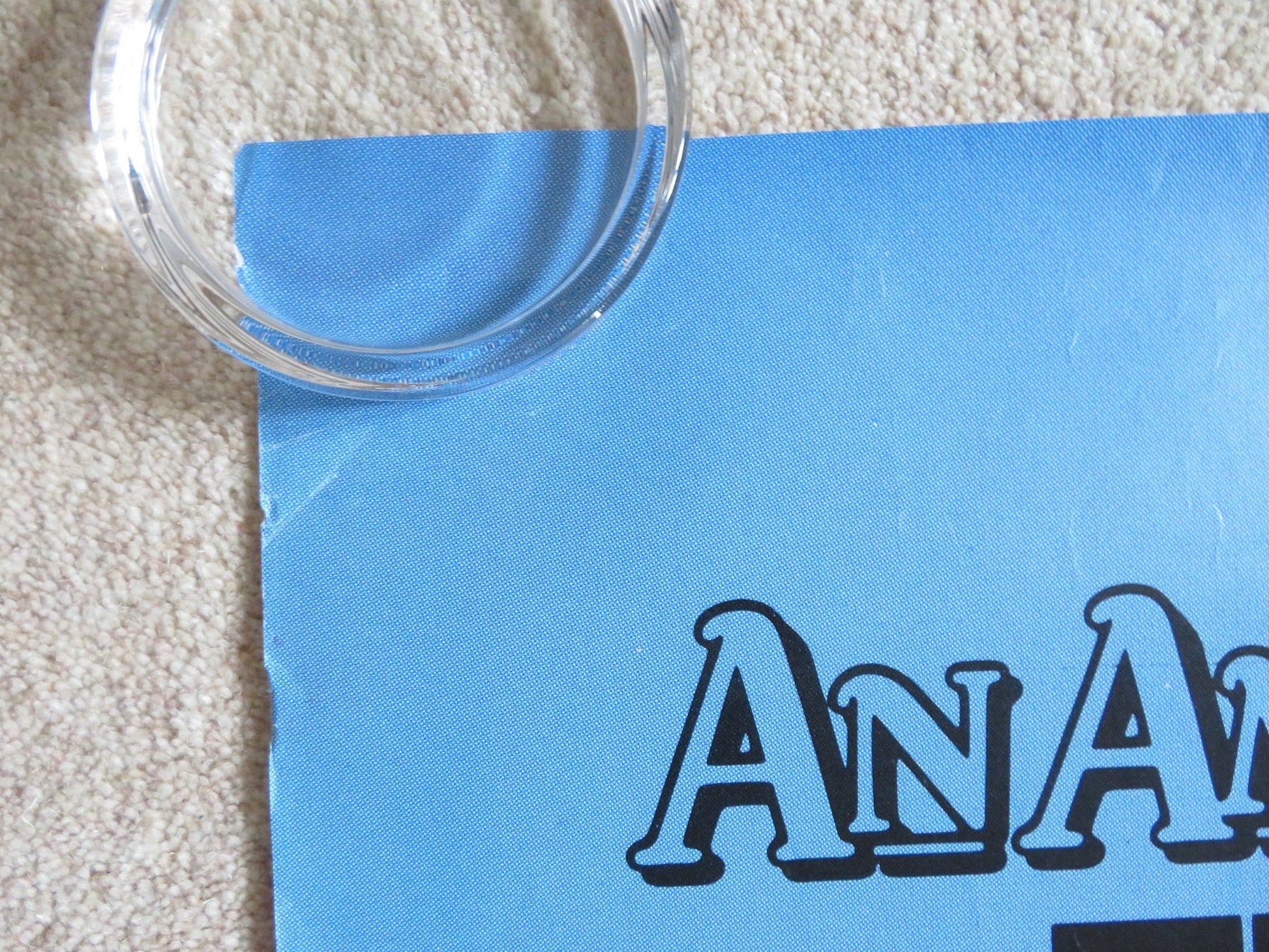 AN AMERICAN TAIL: FIEVAL GOES WEST - B DOOR PANEL POSTER ROLLED P. GLASSER 1991 - Rendezvous Cinema