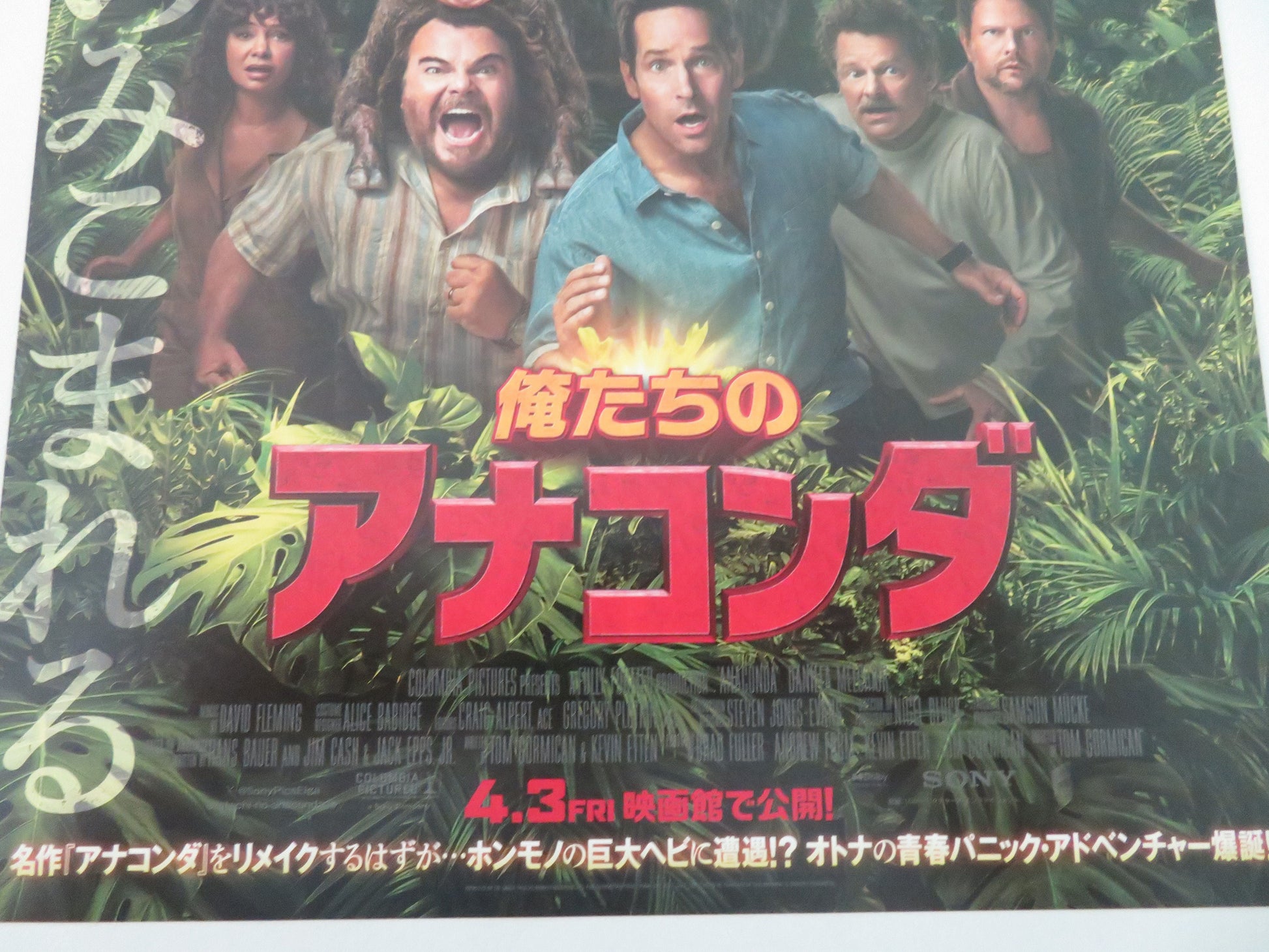 Anaconda Japanese Chirashi (B5) Poster Jack Black Paul Rudd 2025 Movie posters