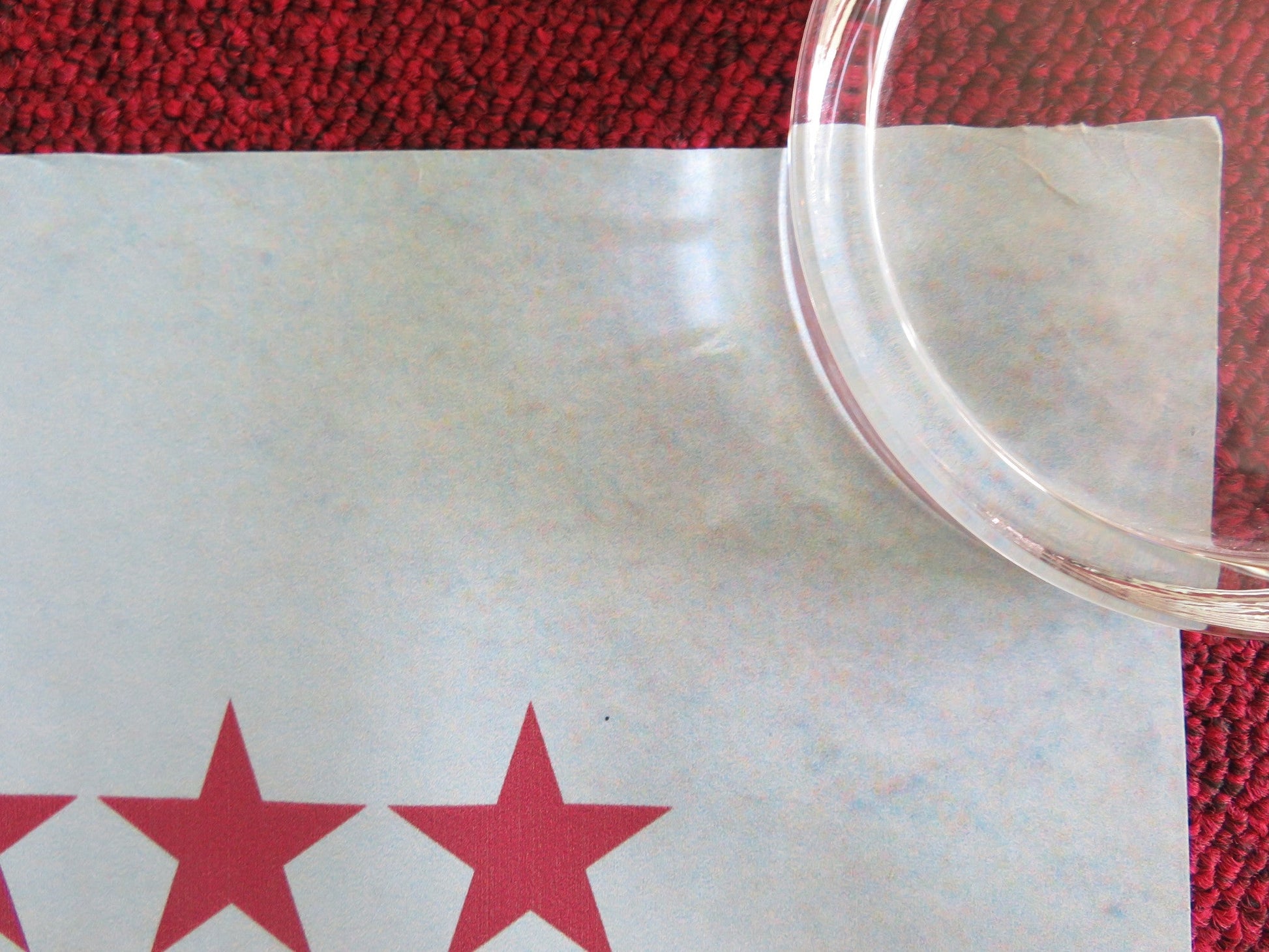 ANATOMY OF A FALL UK QUAD ROLLED POSTER SANDRA HULLER SWANN ARLAUD 2023 Rendezvous Cinema Movie posters