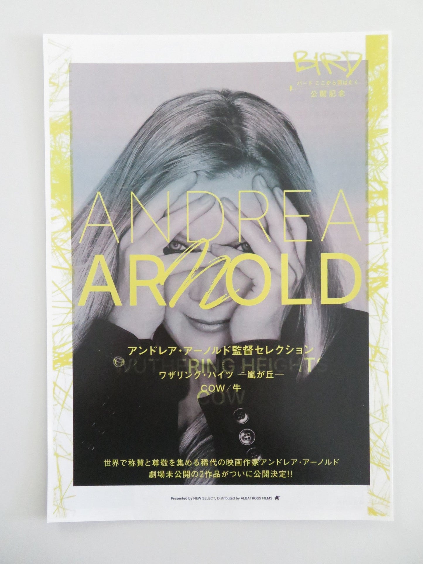 Andrea Arnold Movie Collection Japanese Chirashi (B5) Poster Keoghan 2026 Movie posters