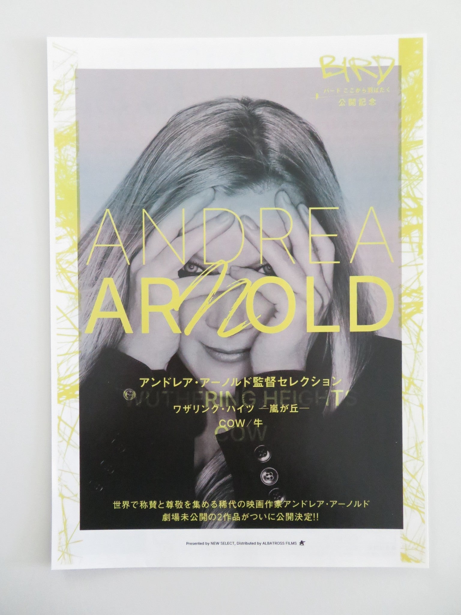Andrea Arnold Movie Collection Japanese Chirashi (B5) Poster Keoghan 2026 Movie posters