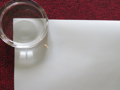 ANT - MAN AND THE WASP - A US ONE SHEET ROLLED POSTER PAUL RUDD 2018 Rendezvous Cinema Movie posters