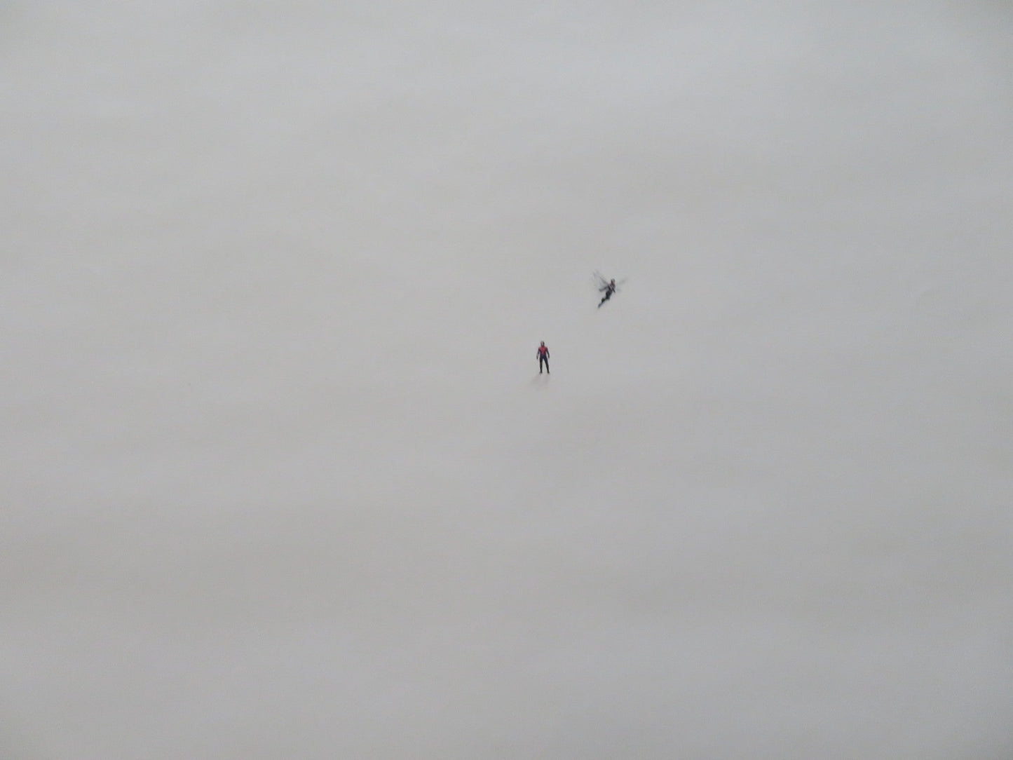 ANT - MAN AND THE WASP - A US ONE SHEET ROLLED POSTER PAUL RUDD 2018 Rendezvous Cinema Movie posters