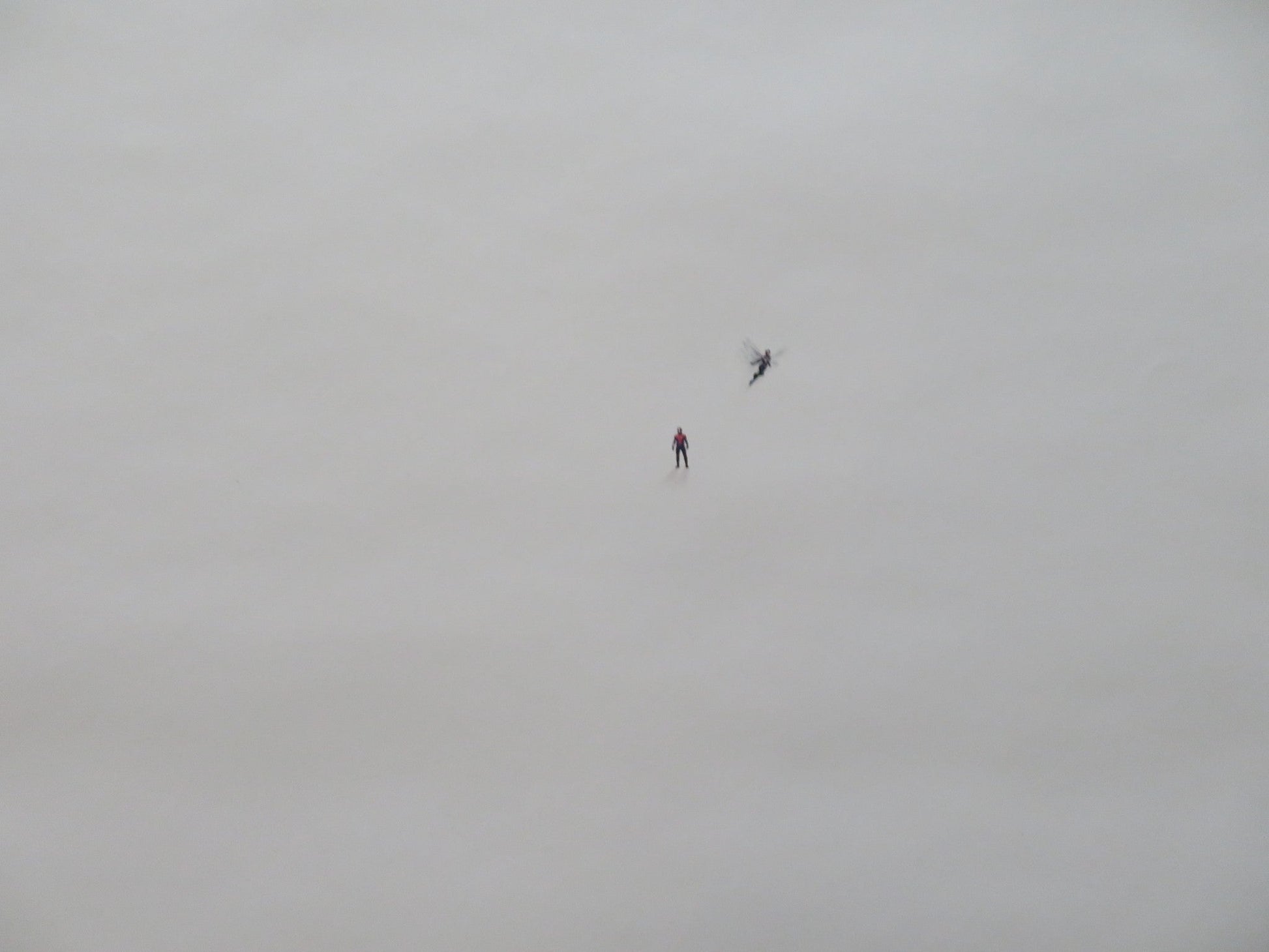 ANT - MAN AND THE WASP - A US ONE SHEET ROLLED POSTER PAUL RUDD 2018 Rendezvous Cinema Movie posters