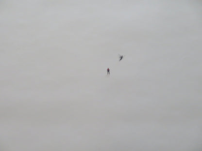 ANT - MAN AND THE WASP - A US ONE SHEET ROLLED POSTER PAUL RUDD 2018 Rendezvous Cinema Movie posters