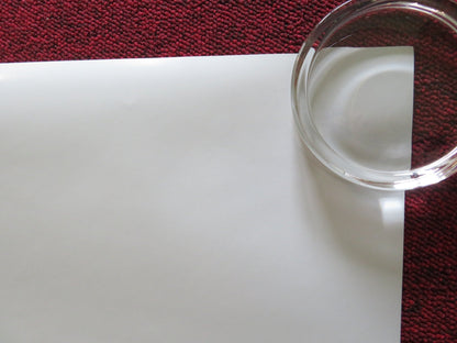 ANT - MAN AND THE WASP - A US ONE SHEET ROLLED POSTER PAUL RUDD 2018 Rendezvous Cinema Movie posters