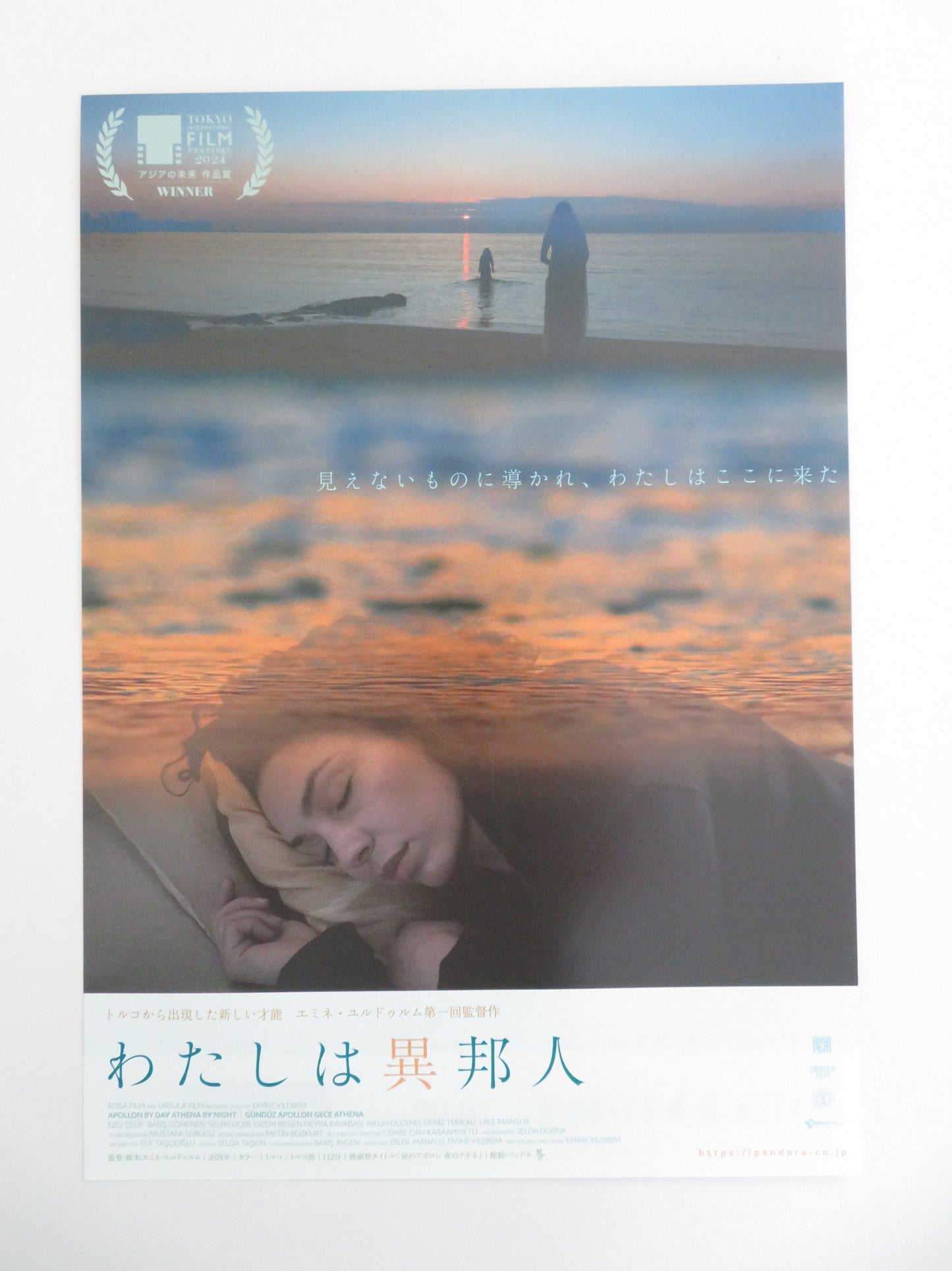 Apollon by Day, Athena by Night Japanese Chirashi (B5) Poster Celik 2024 Movie posters