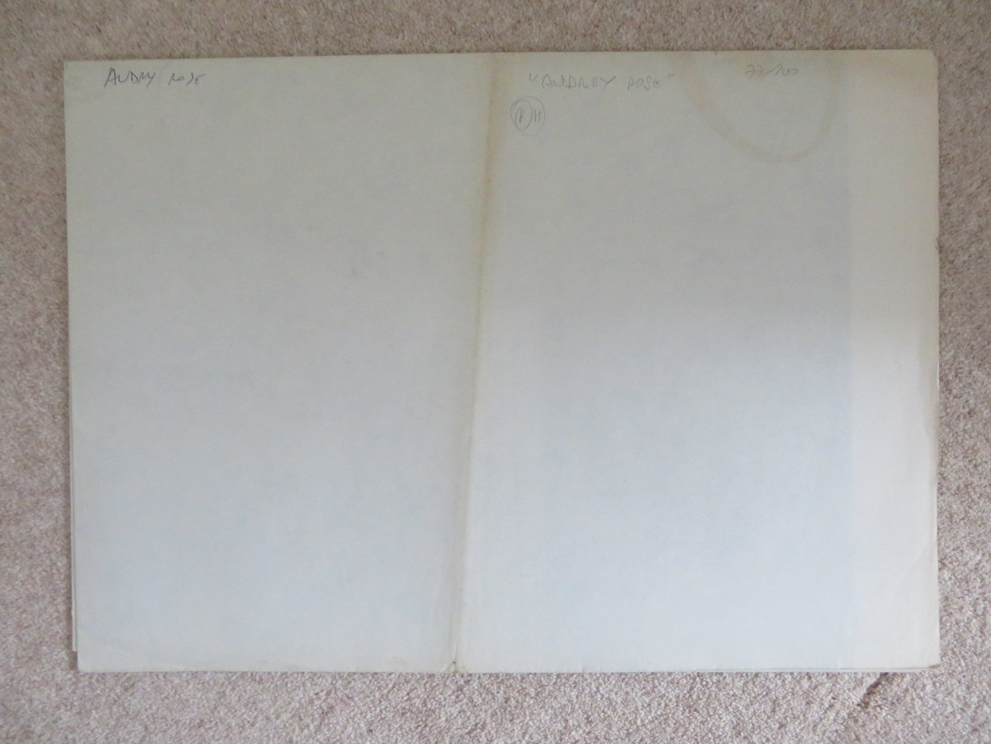 AUDREY ROSE ITALIAN 2 FOGLIO POSTER MARSHA MASON ANTHONY HOPKINS 1977 Rendezvous Cinema Movie posters