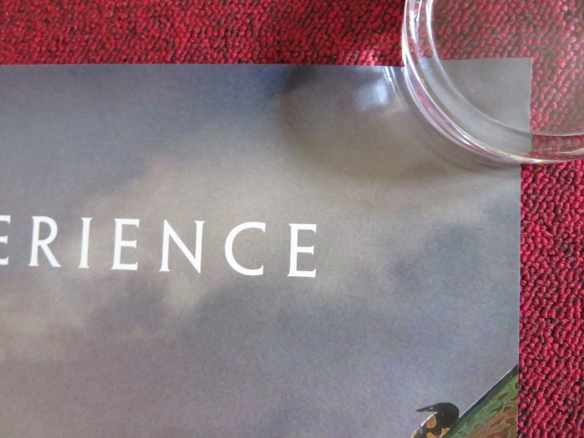 AVATAR: THE WAY OF WATER US ONE SHEET ROLLED POSTER SAM WORTHINGTON 2022 Rendezvous Cinema Movie posters