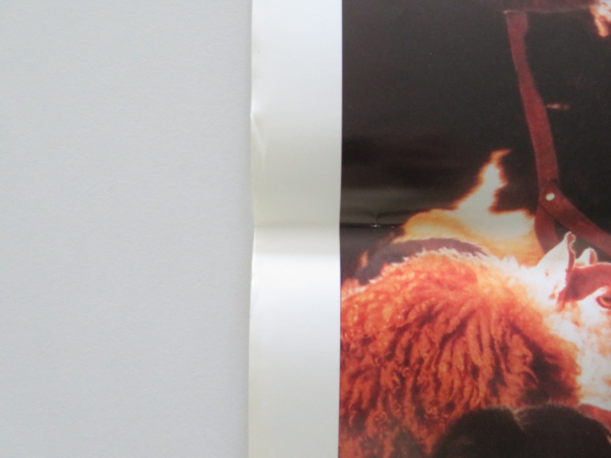 Babe ITALIAN LOCANDINA POSTER Christine Cavanaugh Miriam Margolyes 1995 Movie posters