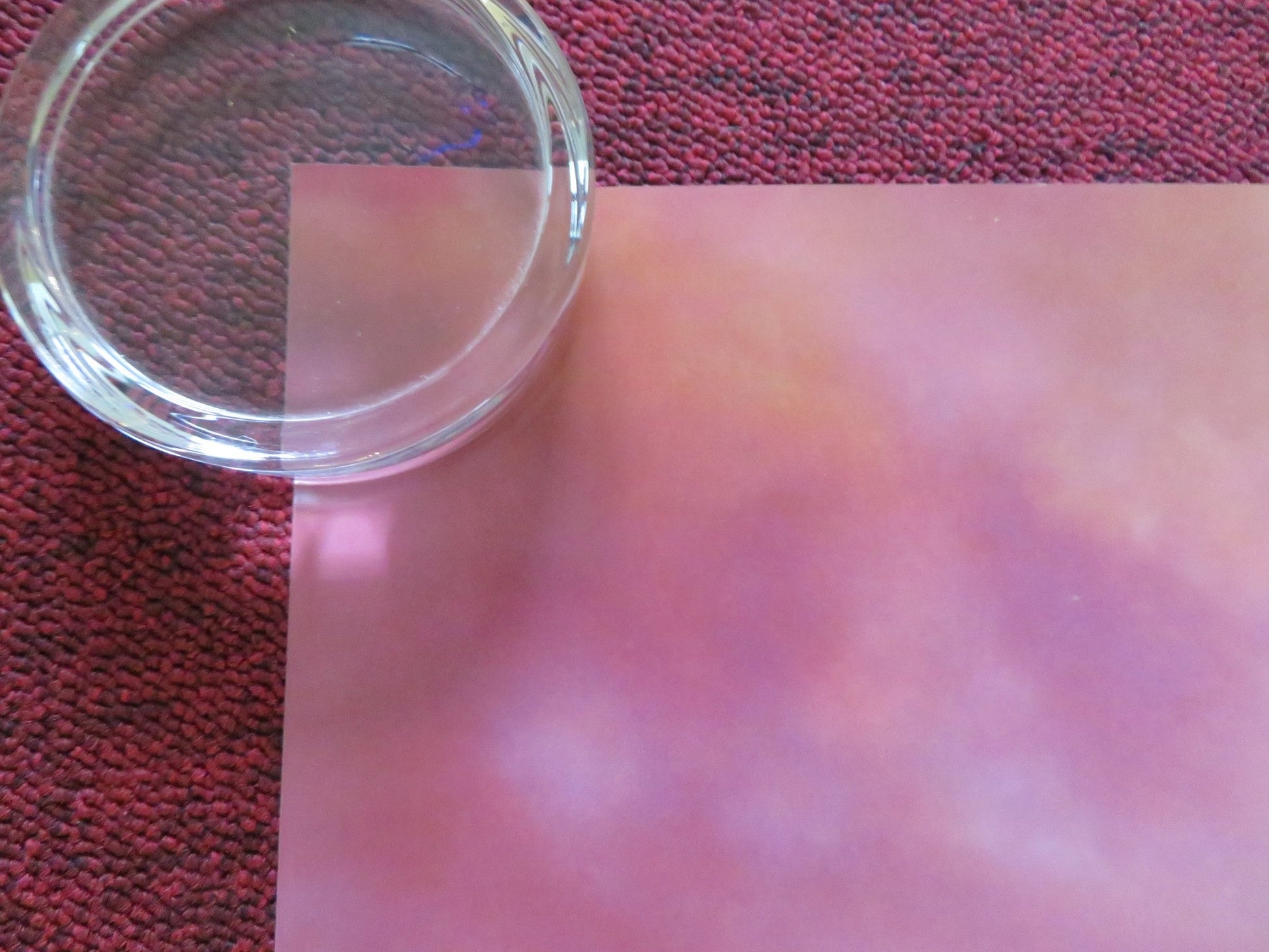 BABE: PIG IN THE CITY US ONE SHEET ROLLED POSTER JAMES CROMWELL MARY STEIN 1998 Rendezvous Cinema Movie posters