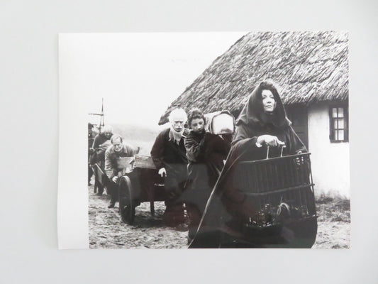 BABETTE'S FEAST MOVIE STILL PHOTO STEPHANE AUDRAN 1987 Movie posters