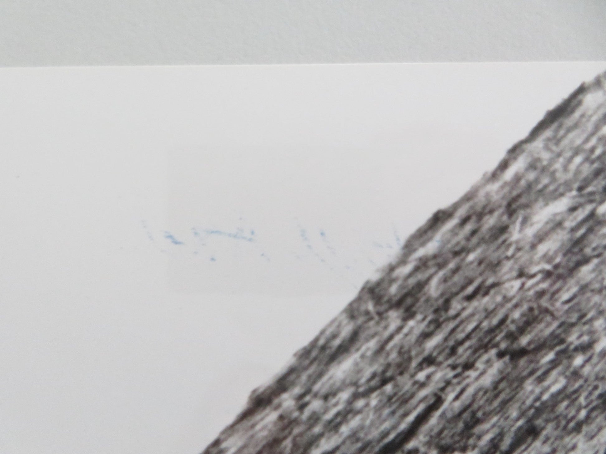 BABETTE'S FEAST MOVIE STILL PHOTO STEPHANE AUDRAN 1987 Movie posters