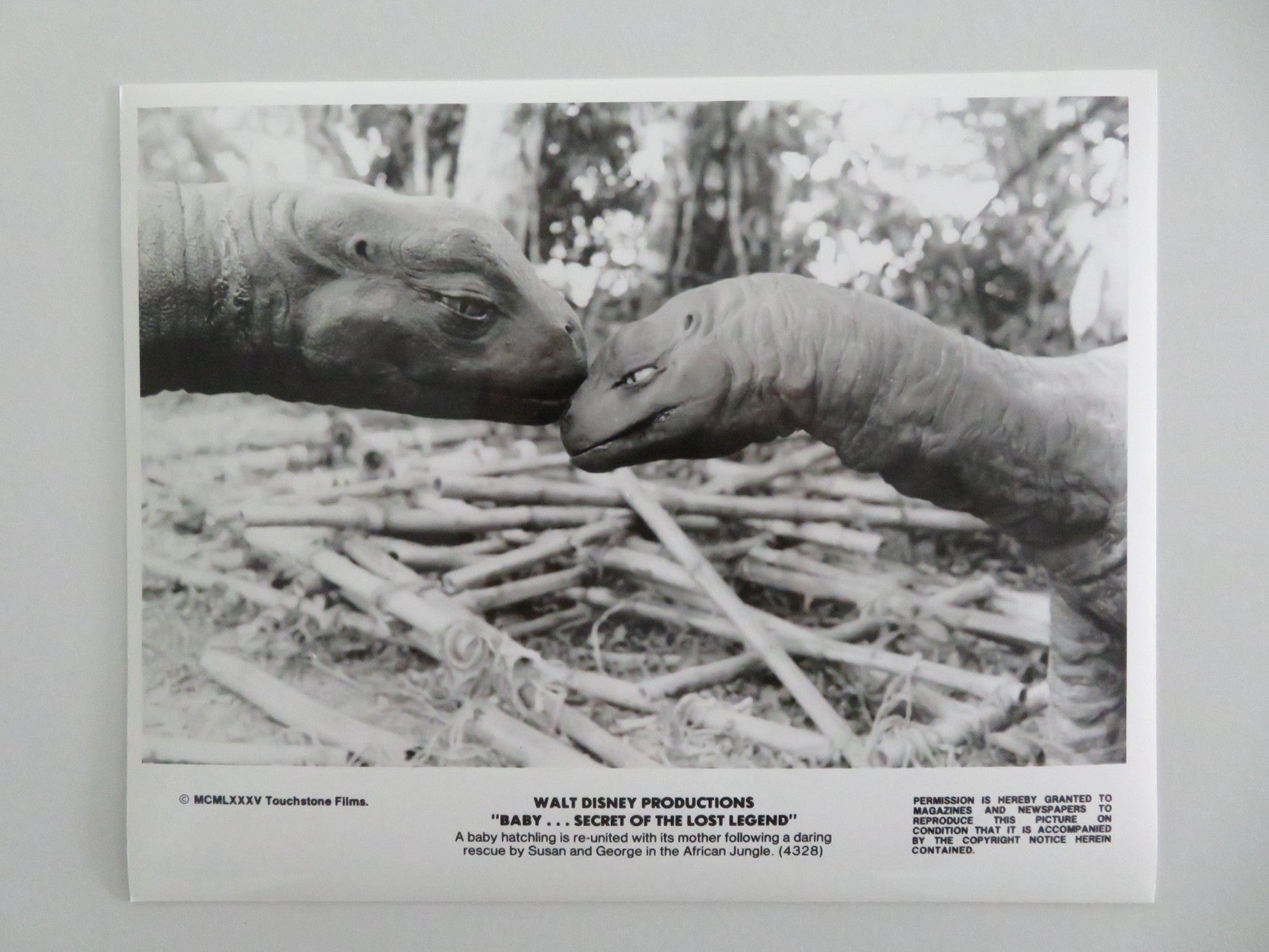 BABY: SECRET OF THE LOST LEGEND MOVIE STILL PHOTO LOT OF 4 DISNEY S. YOUNG 1985 - Rendezvous Cinema