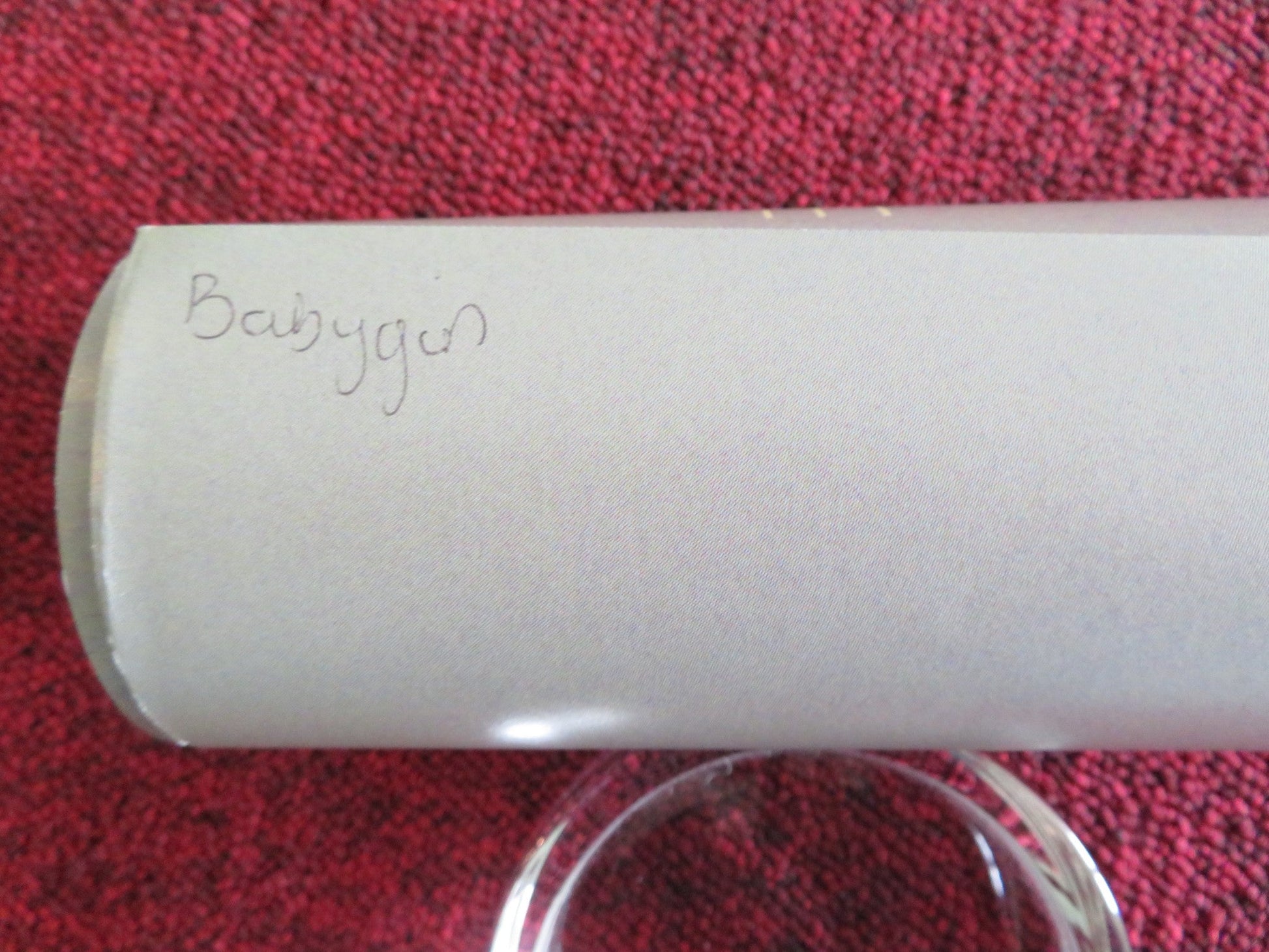 BABYGIRL UK QUAD ROLLED POSTER NICOLE KIDMAN ANTONIO BANDERAS 2024 Rendezvous Cinema Movie posters