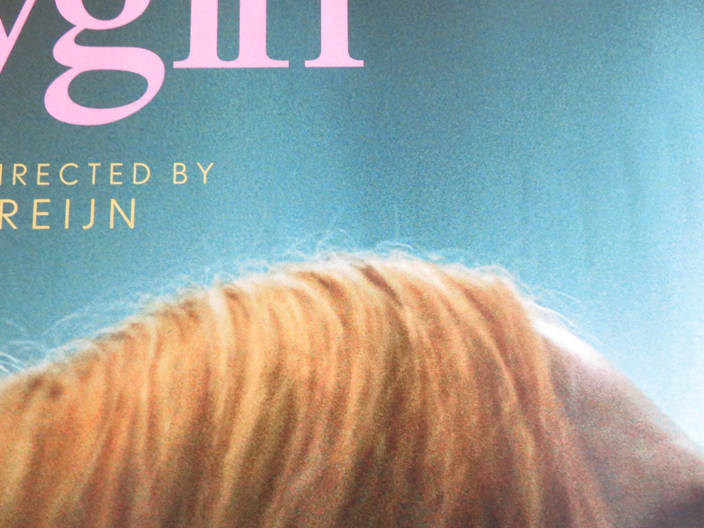 BABYGIRL UK QUAD ROLLED POSTER NICOLE KIDMAN ANTONIO BANDERAS 2024 Rendezvous Cinema Movie posters