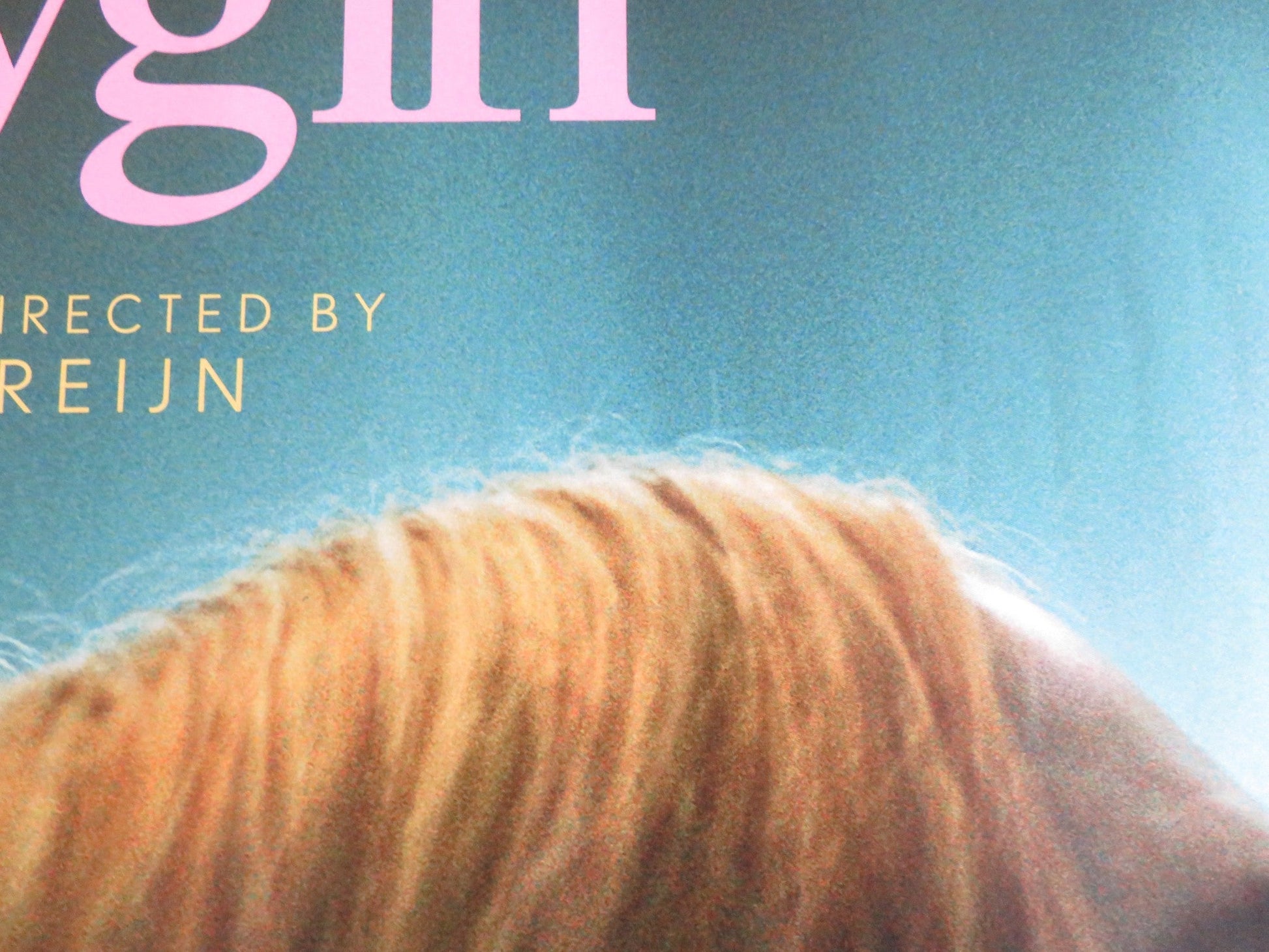 BABYGIRL UK QUAD ROLLED POSTER NICOLE KIDMAN ANTONIO BANDERAS 2024 Rendezvous Cinema Movie posters