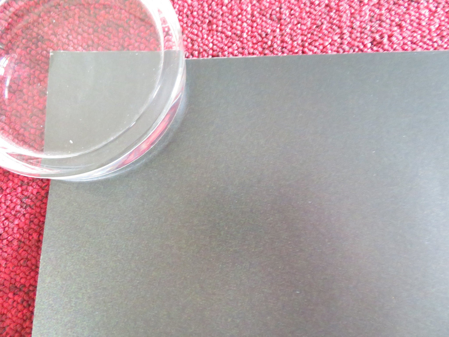 BABYGIRL UK QUAD ROLLED POSTER NICOLE KIDMAN ANTONIO BANDERAS 2024 Rendezvous Cinema Movie posters