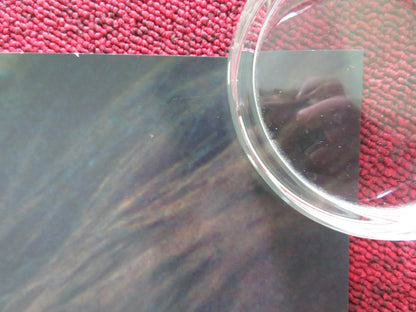 BABYGIRL US ONE SHEET ROLLED POSTER NICOLE KIDMAN HARRIS DICKINSON 2024 Rendezvous Cinema Movie posters