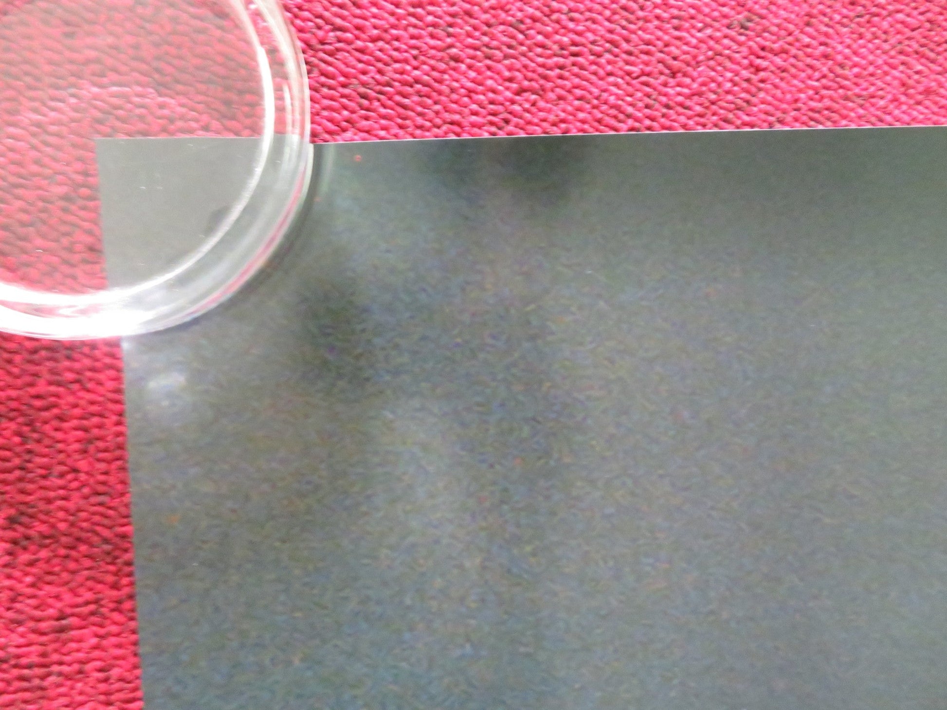 BABYGIRL US ONE SHEET ROLLED POSTER NICOLE KIDMAN HARRIS DICKINSON 2024 Rendezvous Cinema Movie posters