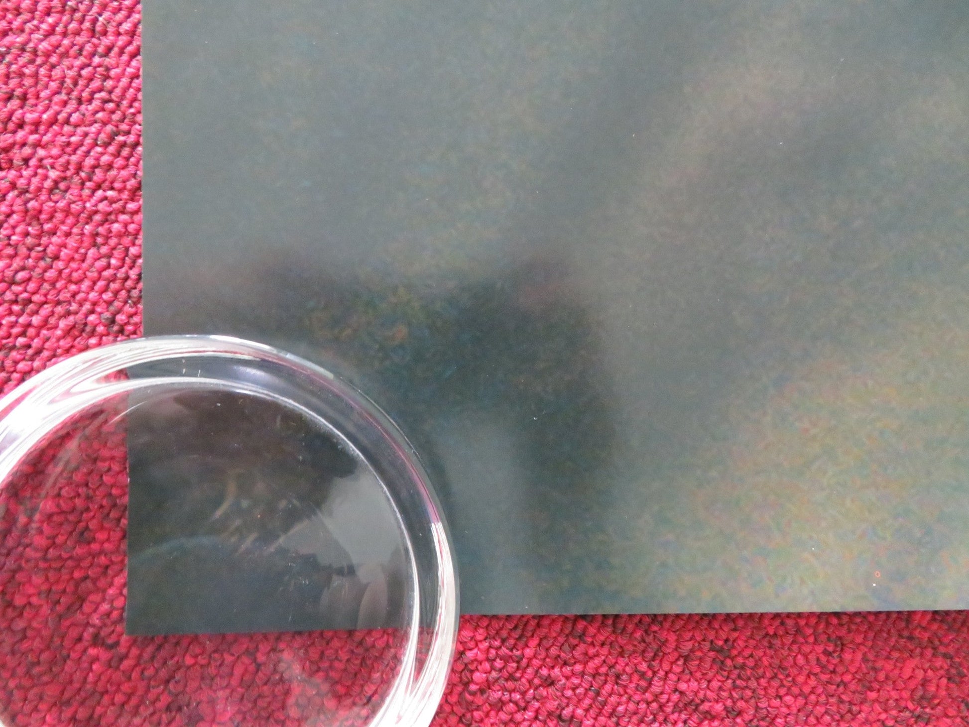 BABYGIRL US ONE SHEET ROLLED POSTER NICOLE KIDMAN HARRIS DICKINSON 2024 Rendezvous Cinema Movie posters