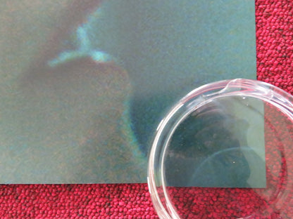 BABYGIRL US ONE SHEET ROLLED POSTER NICOLE KIDMAN HARRIS DICKINSON 2024 Rendezvous Cinema Movie posters