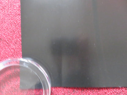 BACK TO BLACK UK QUAD ROLLED POSTER MARISA ABELA EDDIE MARSAN 2024 Rendezvous Cinema Movie posters