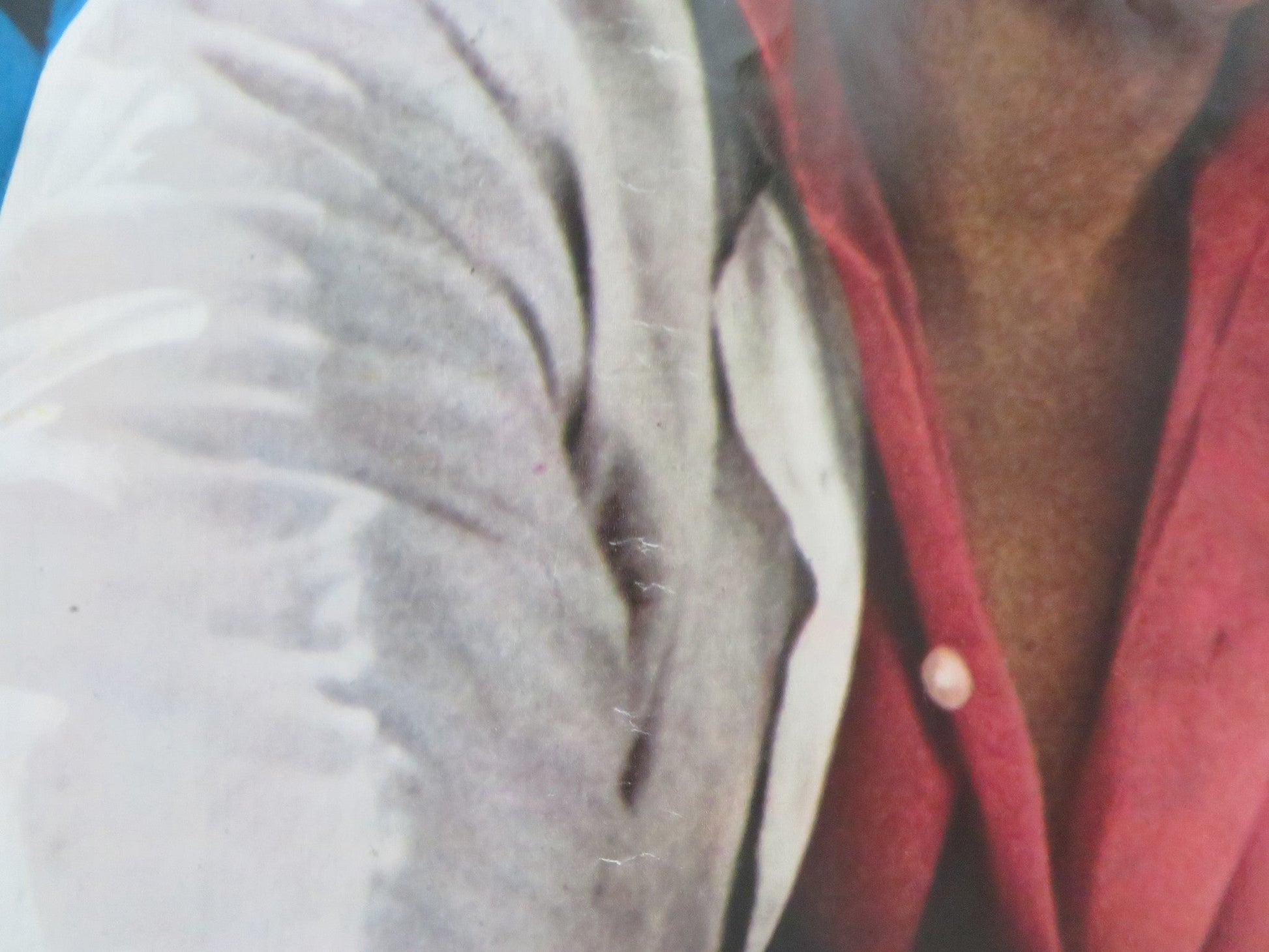 BADLANDS - E ITALIAN FOTOBUSTA POSTER MARTIN SHEEN SISSY SPACEK 1973 Rendezvous Cinema Movie posters