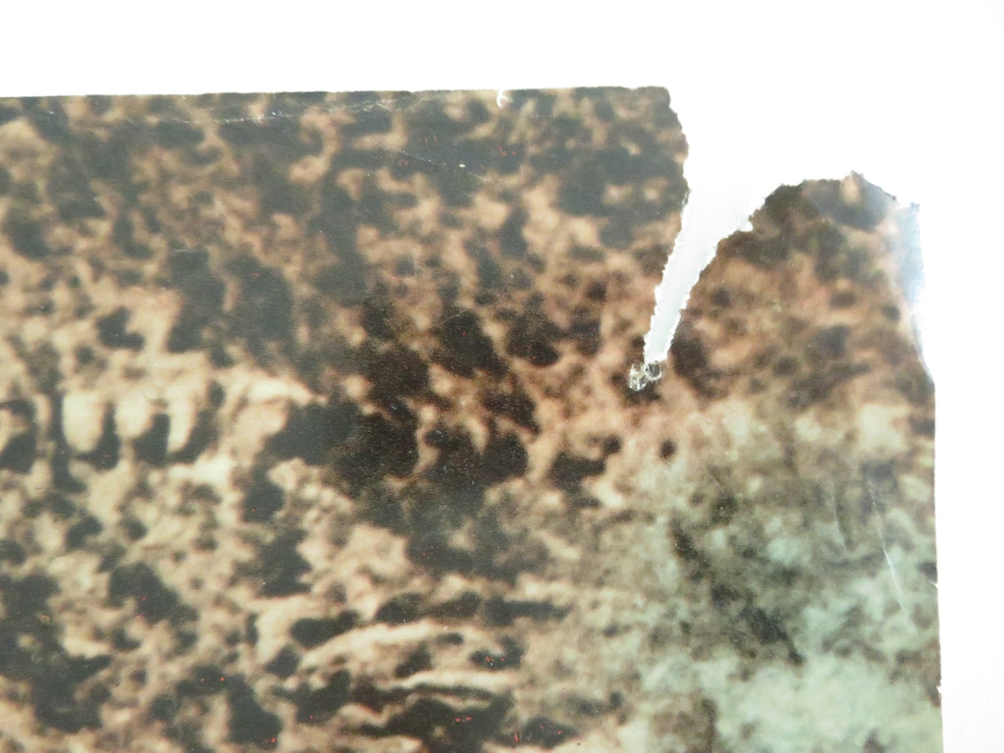 Ballad of a Gunfighter Italian Fotobusta Poster Marty Robbins Traveler 1964 Movie posters