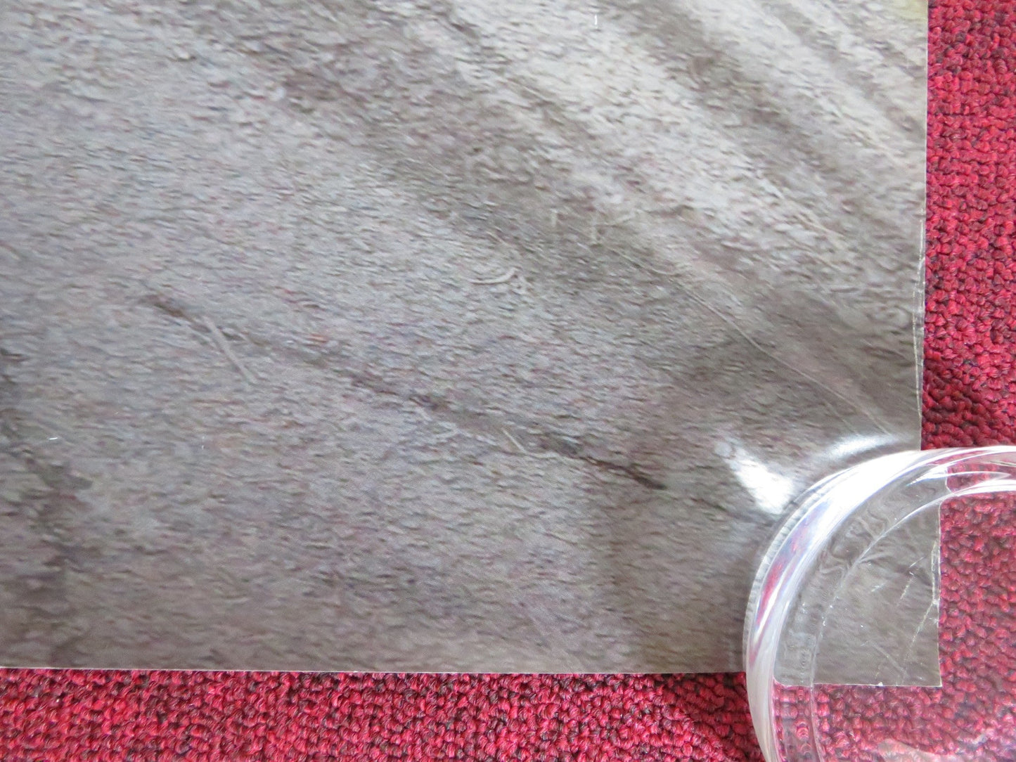 BARNYARD US ONE SHEET ROLLED POSTER KEVIN JAMES COURTENEY COX 2006 Rendezvous Cinema Movie posters