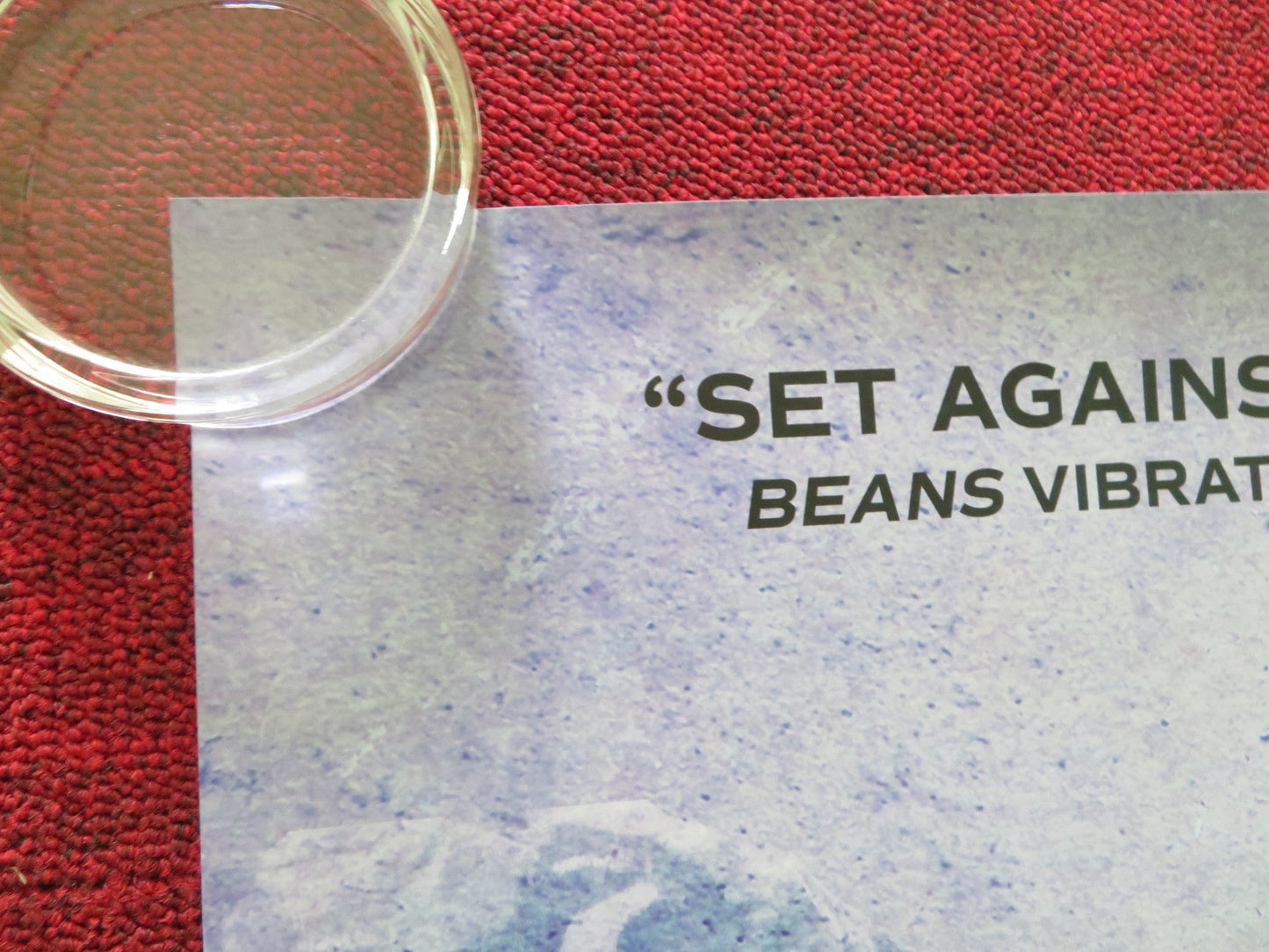 BEANS US ONE SHEET ROLLED POSTER KIAWENTIIO RAINBOW DICKERSON 2020 Rendezvous Cinema Movie posters